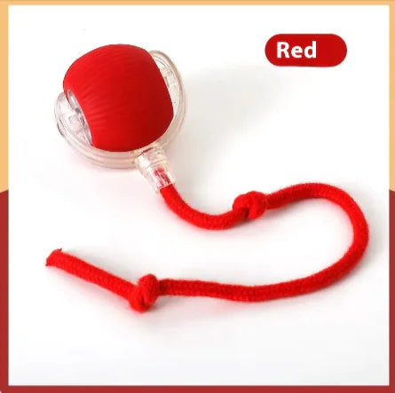 Pelota de juguete – Resistente a mordidas y divertida para gat@s
